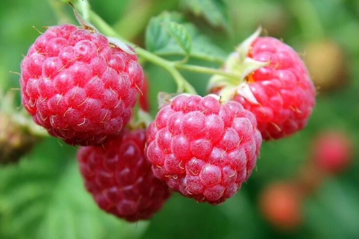 maline za povećanje potencije